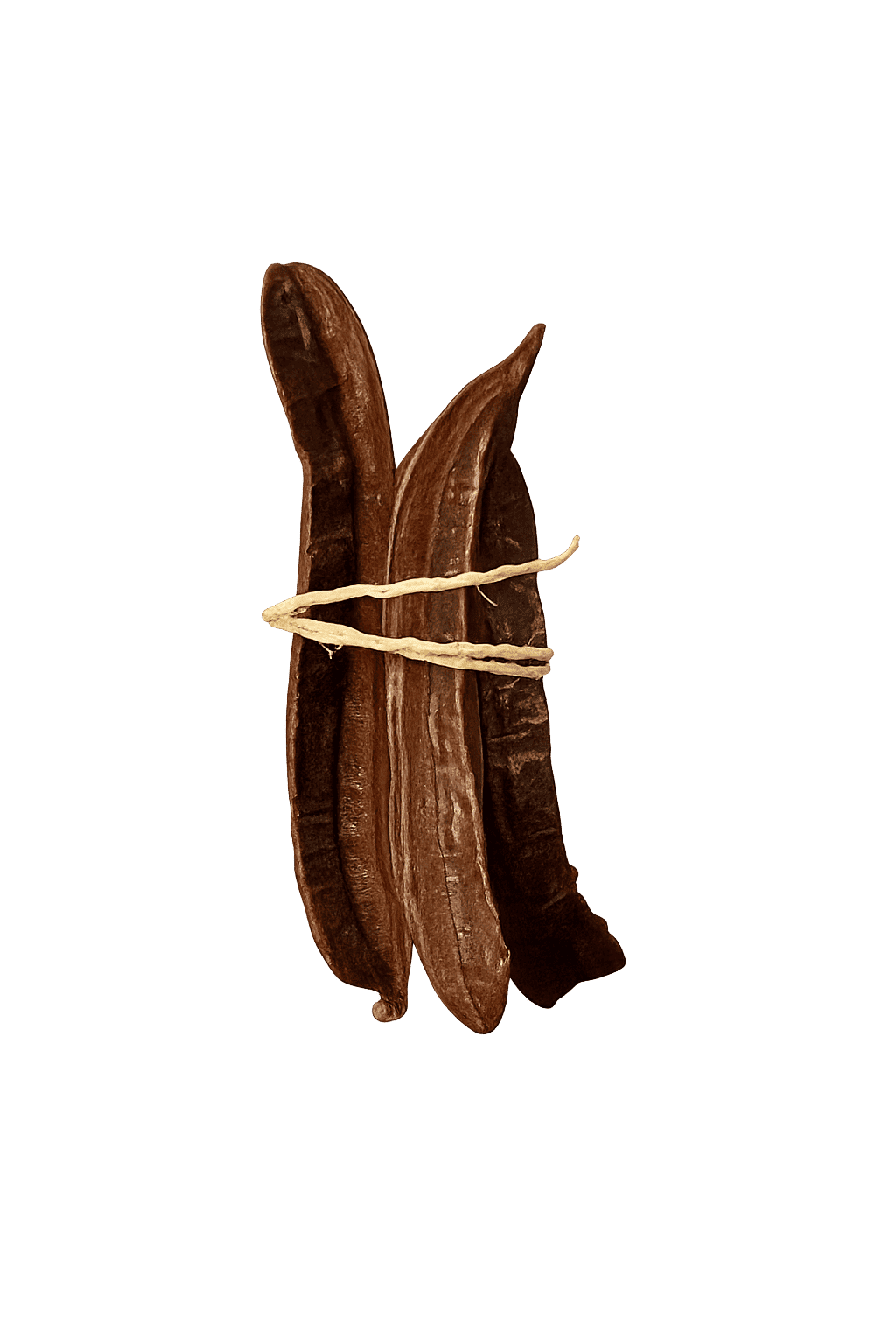 Fruit 4 côtés – Fertilité et hygiène intime – Image 2