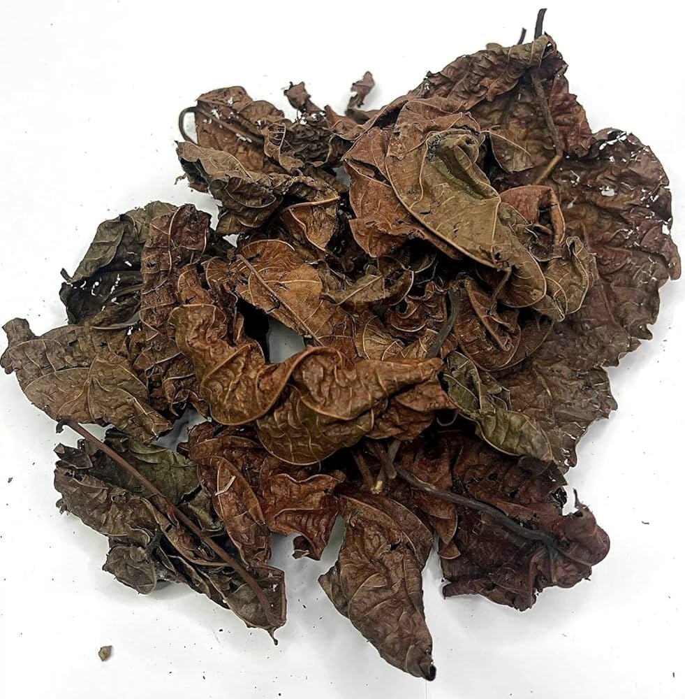 Feuilles de Djeka – Pour apaiser tes règles, resserrer et prendre soin de ton intimité – Image 2